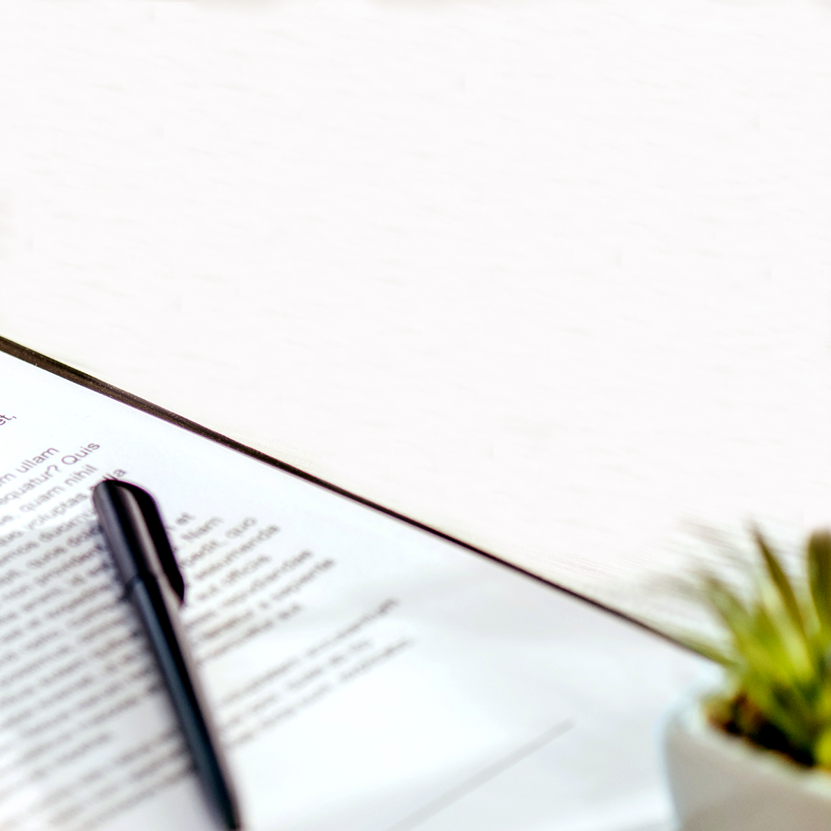 Document with a pen and plant on a desk